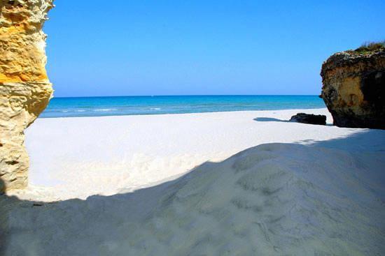 Vianova Guest house 3*