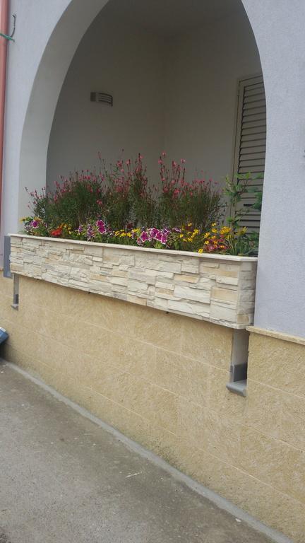 Guest house Vianova Giurdignano