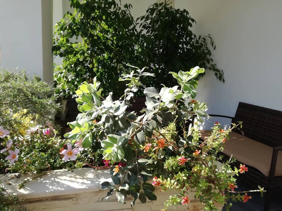 Guest house Vianova Giurdignano